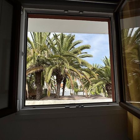 Phoenix Canariensis San Juan de la Rambla Bagian luar foto