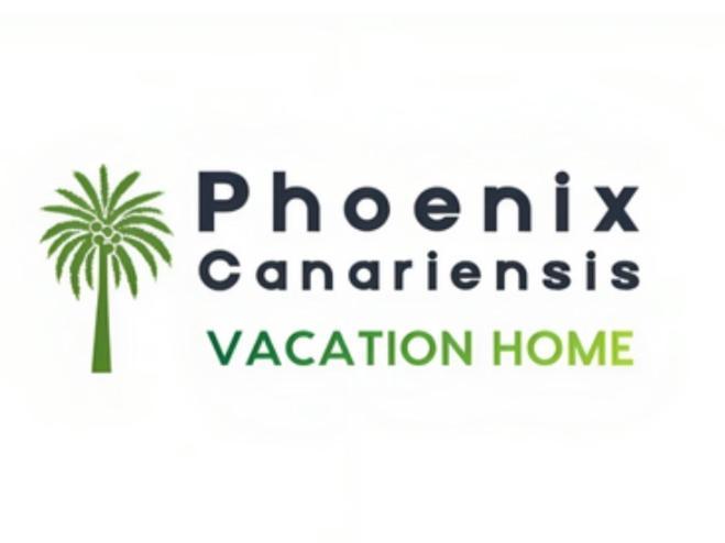 Phoenix Canariensis San Juan de la Rambla Bagian luar foto