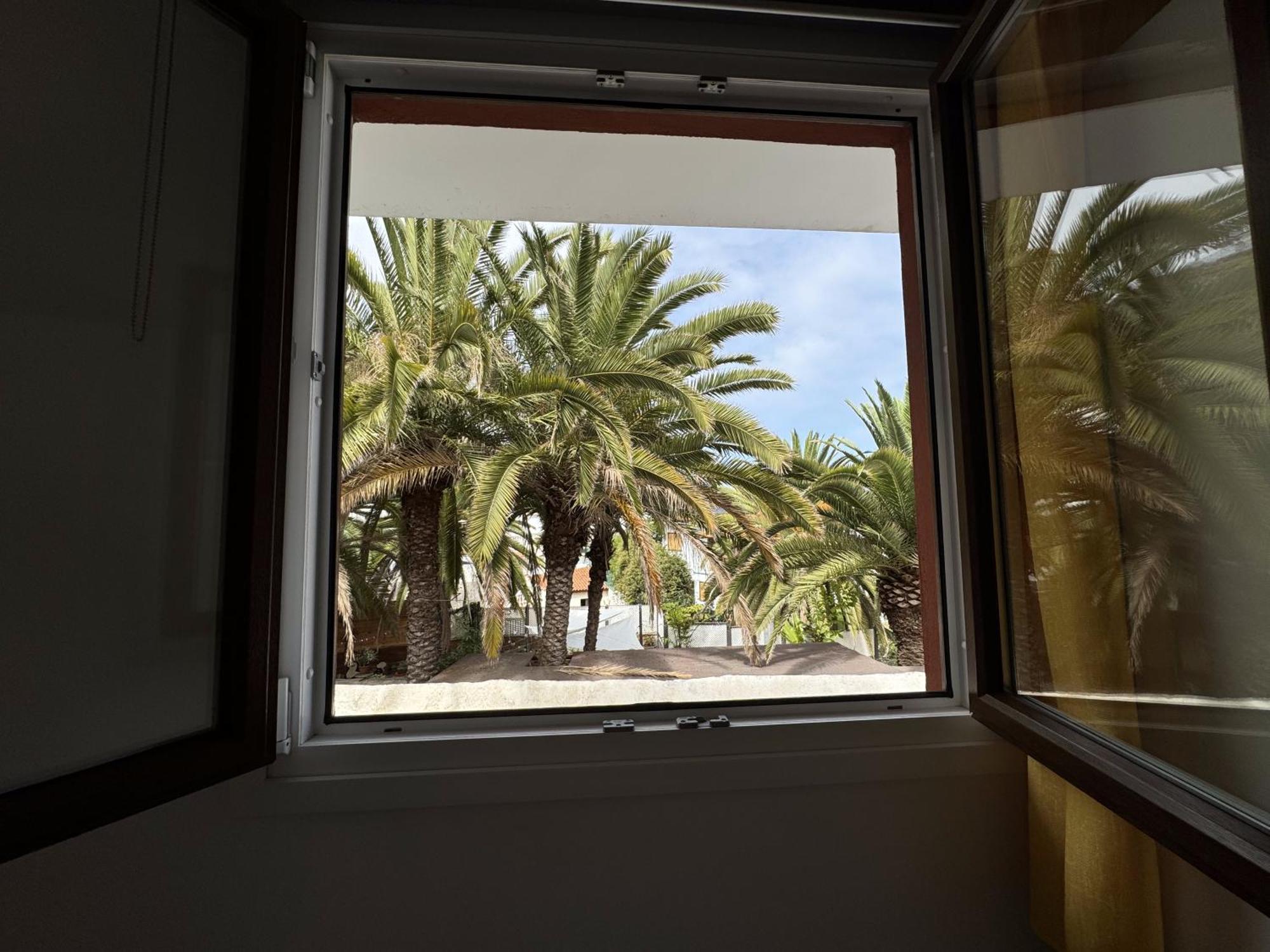 Phoenix Canariensis San Juan de la Rambla Bagian luar foto