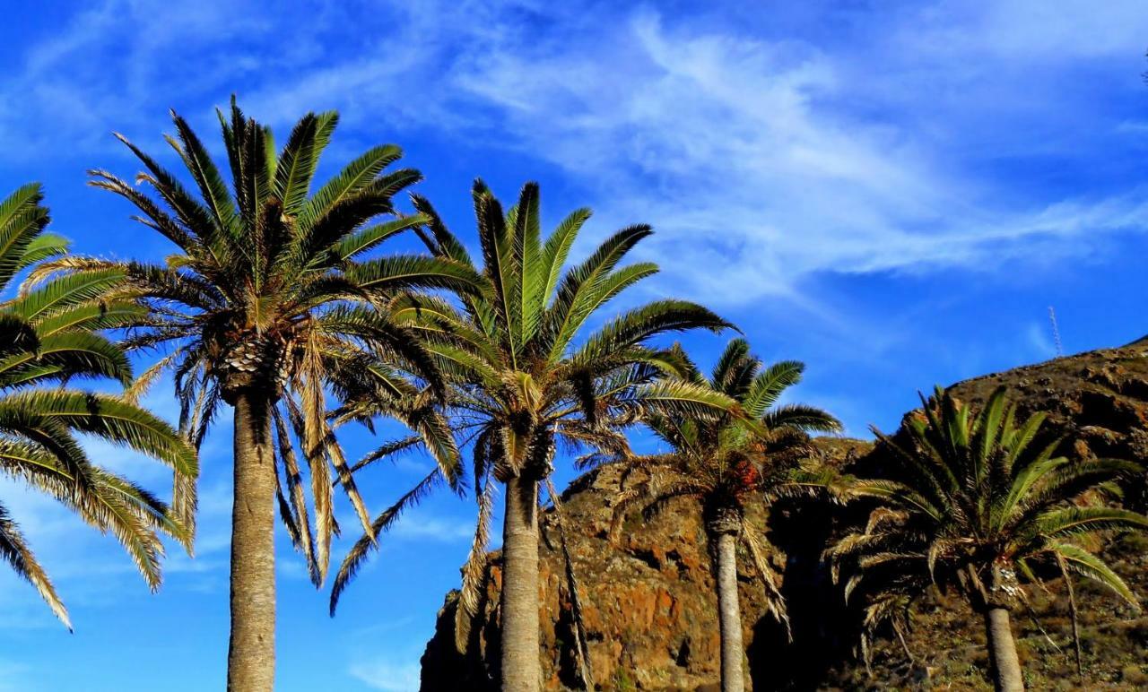 Phoenix Canariensis San Juan de la Rambla Bagian luar foto